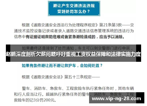 赵鹏深度剖析欠薪问题呼吁重视工资权益保障和法律实施力度