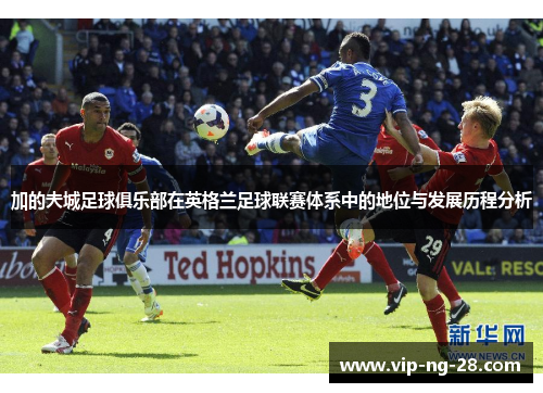 加的夫城足球俱乐部在英格兰足球联赛体系中的地位与发展历程分析