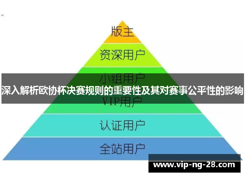 深入解析欧协杯决赛规则的重要性及其对赛事公平性的影响