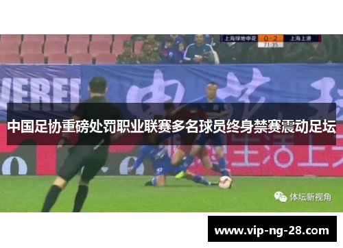 中国足协重磅处罚职业联赛多名球员终身禁赛震动足坛